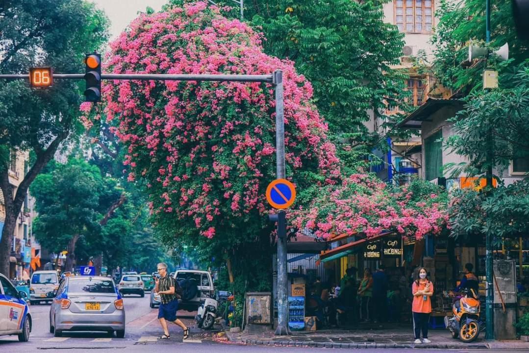 Tropical Land Little Hanoi Homestay Экстерьер фото