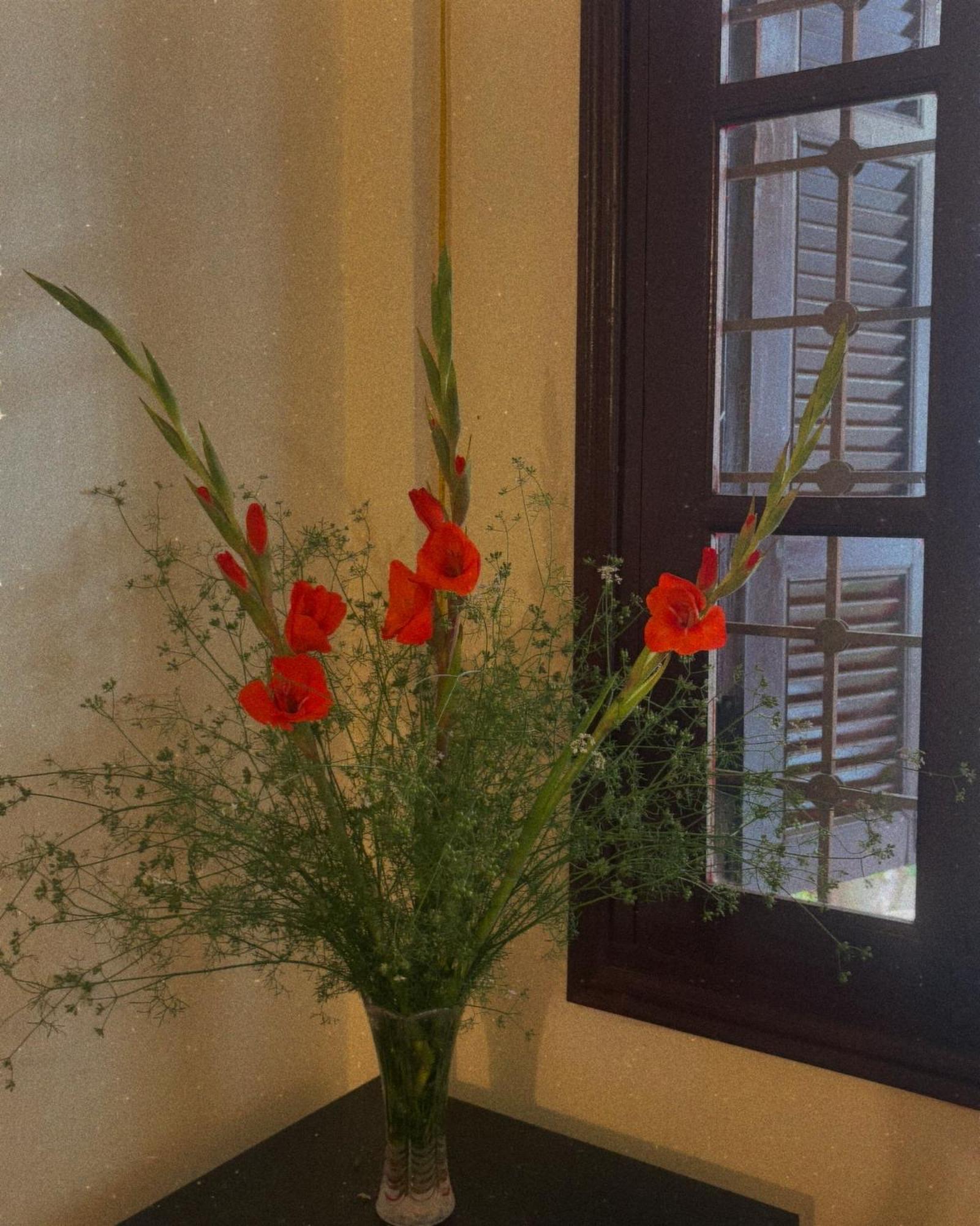 Tropical Land Little Hanoi Homestay Экстерьер фото